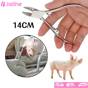 14CM Gunting Gigi Anak Babi Scissors For Piglet Teeth Stainless Steel Tooth Plier