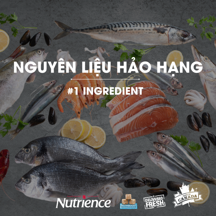 Th%E1%BB%A9c%20%C4%83n%20cho%20M%C3%A8o%20Nutrience%20Subzero%20Grain-free%20Canadian%20Pacific%20-%206%20lo%E1%BA%A1i%20c%C3%A1%20bi%E1%BB%83n%20v%C3%A0%20rau%20c%E1%BB%A7%20tr%C3%A1i%20c%C3%A2y%20t%E1%BB%B1%20nhi%C3%AAn%20-%20Image%207