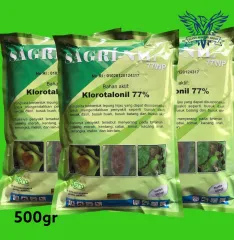 Porno video va ubytrjkjuf tomosha qiling