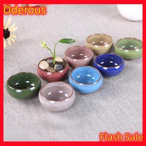 Oderous Cute Ice-Crack Glaze Flower s Succulent Planter Mini Plant Pot Home Decor