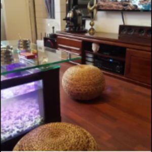 LDIES Fashion Stool K2GG: A Stylish Low Leisure Chair & Creative Shoe Rack