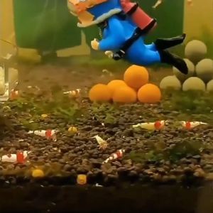 L&L Driver Fish Aquarium Tank Pendant Landscaping Decoration Floating Small Cute Accessories