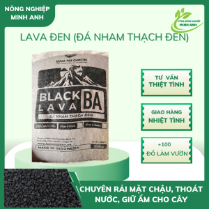 ĐÁ NHAM THẠCH - LAVA ĐEN (TÚI ZIP 1KG)