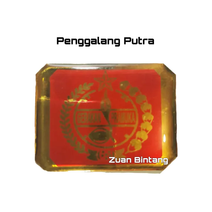 TANDA%20TOPI%20PRAMUKA%20SIAGA%20PENGGALANG%20PENEGAK/PIN%20TOPI%20PRAMUKA%20-%20Image%204