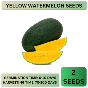 (BUY 1 GET 1) SULIT PACK VEGETABLE SEEDS! - HIGH QUALITY