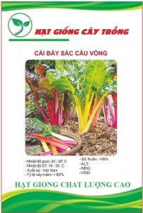 Hạt giống rau cải cầu vòng ( rau cải 7 màu ) CT5579 - 1 gói 100 hạt
