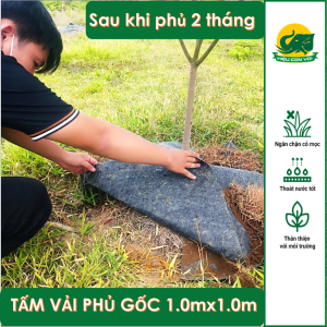 Tấm Vải Phủ Chống Cỏ Cho Gốc Cây Vải Thấm Nước Độ bền cao Có ghim nhựa