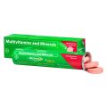 BEROCCA® Performance (Mixed Berries) Multivitamins + Minerals 15 Effervescent Tablets. 