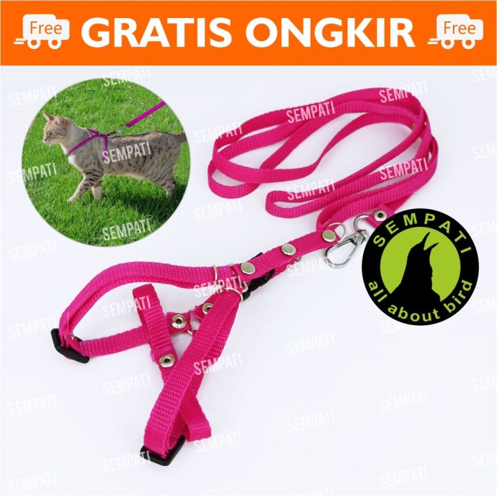 TALI TUNTUN ANJING KUCING MODEL Y HARNES HARNESS HERNES CAT TALI TUNTUN