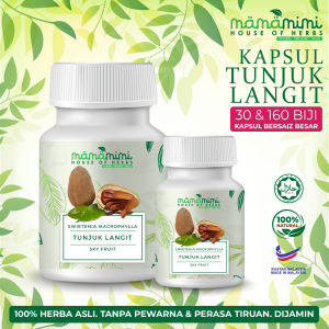 Kapsul Tunjuk Langit / Sky Fruit / Swietenia Macrophylla