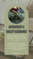 Japanese Matcha Yuzu Green Tea – Bright & Citrusy Wellness Tea [Yggdrasil Leaf Company]. 