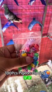 100Pcs Pigeon Digital Foot Ring Training Whistle 8mm Birds Widen Markup Digital Clip Ring