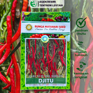 Benih Cabe Keriting DJITU F1 30 Seed Cap Bunga Matahari Hibrida Unggul