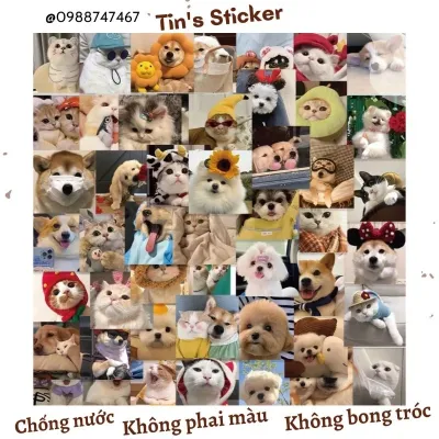 Set combo 10 30 50 miếng dán sticker chó mèo meme vui nhộn dán nón mũ bảo hiểm laptop vali sổ tay đàn guitar điện thoại