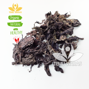 Daun Ungu Kering 100gr Asli Hutan