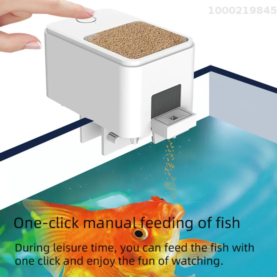 Automatic fish feeder wifi best sale