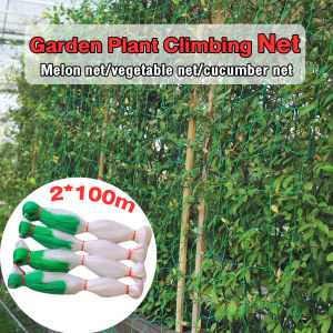 Vacaka Garden Plant Climbing Net Vegetables Cucumber Trellis Net Trellis Net 2M*100M