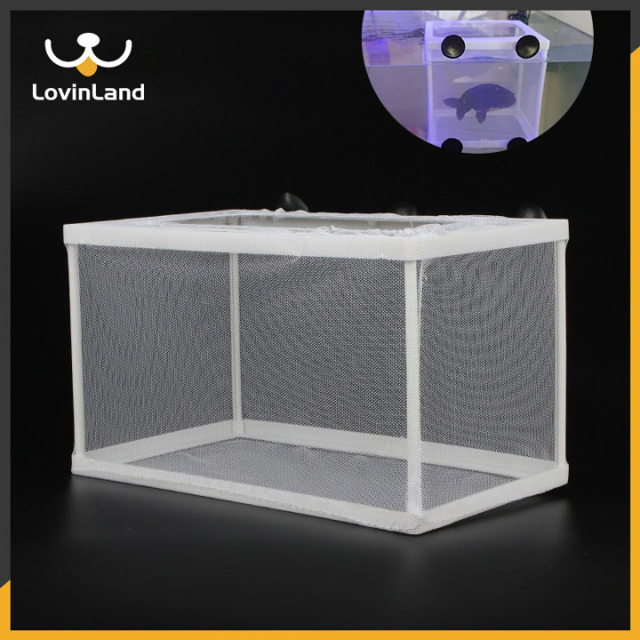 A closer look at Companies Sell Mesh Aquarium