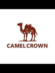 CAMEL Outdoor Trekking Pole Aluminum-Gold (110cm)