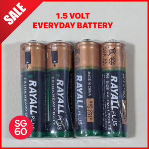 Rayall Plus Everyday Battery AA & AAA Size 1.5 Volt R6 (4pcs Pack)