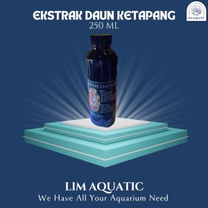 Ekstrak daun ketapang 250L