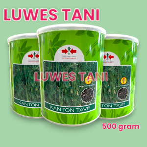 (Kemasan kaleng 500gr) Benih Kacang Panjang Kanton Tavi 500gr