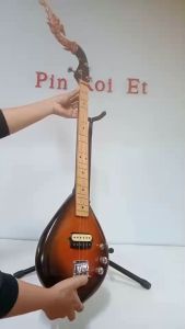 สำอาง พิณไฟฟ้า 3 สาย 15 เฟรต 2 คอนแทก คู่ คอนแทก คู่