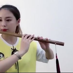 ✨piccolo filmless flute beginner of bamboo flute instrument fo迷你短笛无膜孔横笛学生入门竹笛初学者儿童成人乐器女随身小笛子 CD01