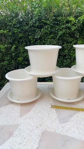 กระถางสีขาว 8 นิ้ว พร้อมจานรอง สีขาว 8 นิ้ว แพ็คละ 5 ชุด