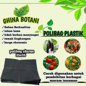 Polybag Ukuran 35x35 1 kg