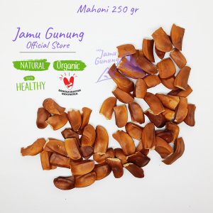 Biji atau Buah Mahoni Kering 250gr Asli Hutan - Obat Diabetes !!