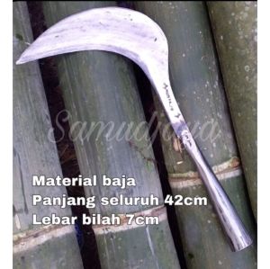 Sabat Rumput Tahan Lama & Pengaritan Mustajib