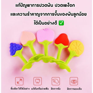 Pulchra ยางกัดซิลิโคนผลไม้ สำหรับเด็กอ่อน ช่วยลดคันเหงือก ช่วยฟันขึ้น ปลอดภัย ไม่เป็นอันตราย