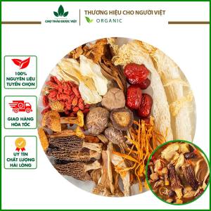 Set gà hầm nấm quý to (Súp gà nấm lẩu nấm thơm ngon bổ dưỡng) - Chợ Thảo Dược Việt