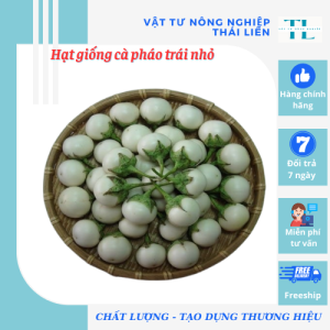 Hạt Giống Cà Pháo Trắng Trái Nhỏ Thuận Điền ( 1gram) - Giống Tốt Bội Thu