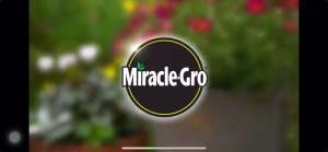 Authentic Miracle - Gro Watering Can Singles All Purpose Water Soluble Plant Food - 1 Packet