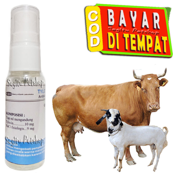 Obat%20Mata%20Sapi%20Kambing%20Iritasi%20Merah%20Bengkak%20Tylovet%20C%20-%20Image%203