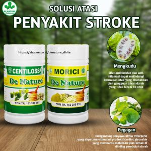 Obat Stroke Paling Ampuh - Obat Struk - Herbal Tradisional Struk Ringan - Setruk Berat - Obat Stroke Hemogarik - Stroke Demensia - Stroke Batang Otak - Stroke Tremor - Mati Rasa / Syaraf Kaku dan Tubuh Mati Sebelah / Centilos de Nature