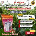 ปุ๋ยสตาร์เฟอร์ 3 สูตร ครบทุกความต้องการของต้นเงาะ สูตรเร่งโต สูตรเร่งราก เร่งดอก สูตรเร่งผล ขยายขนาด เพิ่มผลผลิต. 