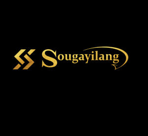 Sougayilang Baitcasting Fishing Reel 9+1Bb 8:1 High Speed Gear Ratio Super Smooth Baitcast Reel with Magnetic Brake System Anti-Corrosion Fishing Reel Max Drag 18LB