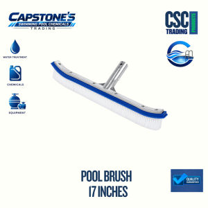 POOL BRUSH 17 INCHES | HEAVY DUTY POOL WALL BRUSH | SWIMMING POOL CLEANING BRUSH