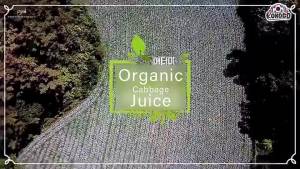 Organic Maru Cabbag 100% 100ml X 30pack Korean Organic Juice No Artificial Additives