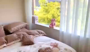 Bộ chăn ga gối Pima cotton gấu đanh mịn mát cùng họa tiết thêu nổi 5 món