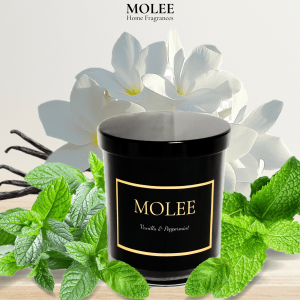 🇸🇬 [SG Seller  & Local Stock ] Luxury glass Candle Warmer [MCW009]