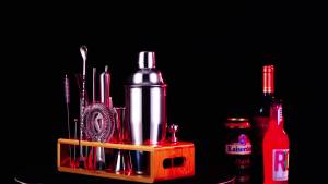 TEAVAS 25-piece professional bartender set with Japanese jigger and bamboo stand shaker set and stainless steel. Mix with ingredients. Bar equipment grinder - TEAVAS mixology bartender kit cocktail shaker set mixing set-152c4c8b