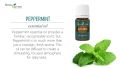 Young Living YL Peppermint 100% Pure Essential Oil 5ml / 15ml. 