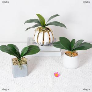 [COD] xingtu Orchid Leaves Artificial Phalaenopsis Stems Leaf Faux Cymbidium Flower Foliage Green Real Touch Latex Bulk Home Decor