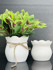 Chậu Túi Lộc Gồm Xốp Cắm và Dây Thừng 3 Size Trồng Bonsai Mini Cắm Hoa Xinh Xắn Nhựa Trắng Dày Đẹp
