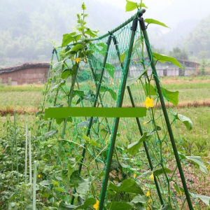 【New Arrival】 Garden Plants Climbing Netting Nylon Morning Glory Flower Vine Support Net Rope