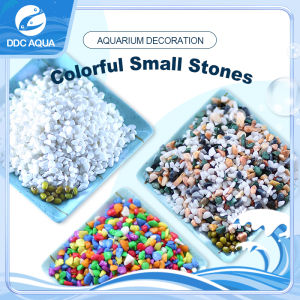 【DDC AQUA】Aquarium Colorful Rocks Pebble Stone For Fish Tank